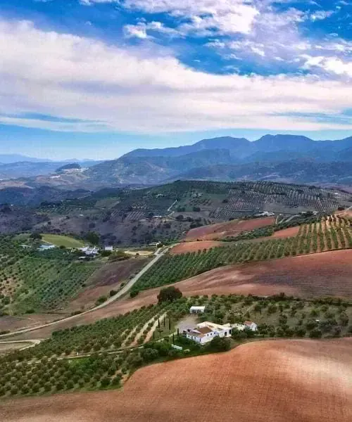 Colline sur le chemin de Compostelle - France