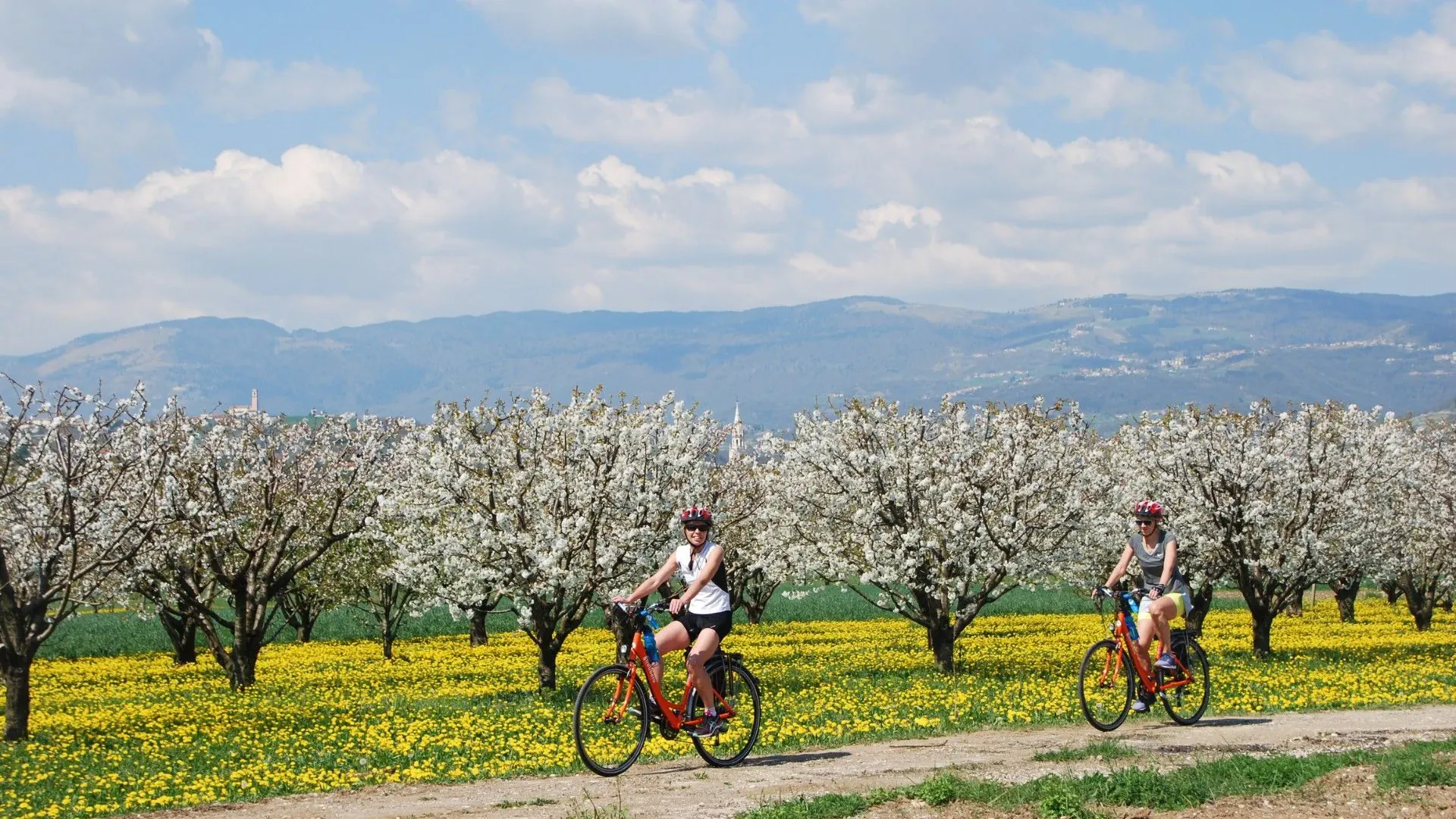 Centre historique de Bassano del Grappa - Venetie - Italie