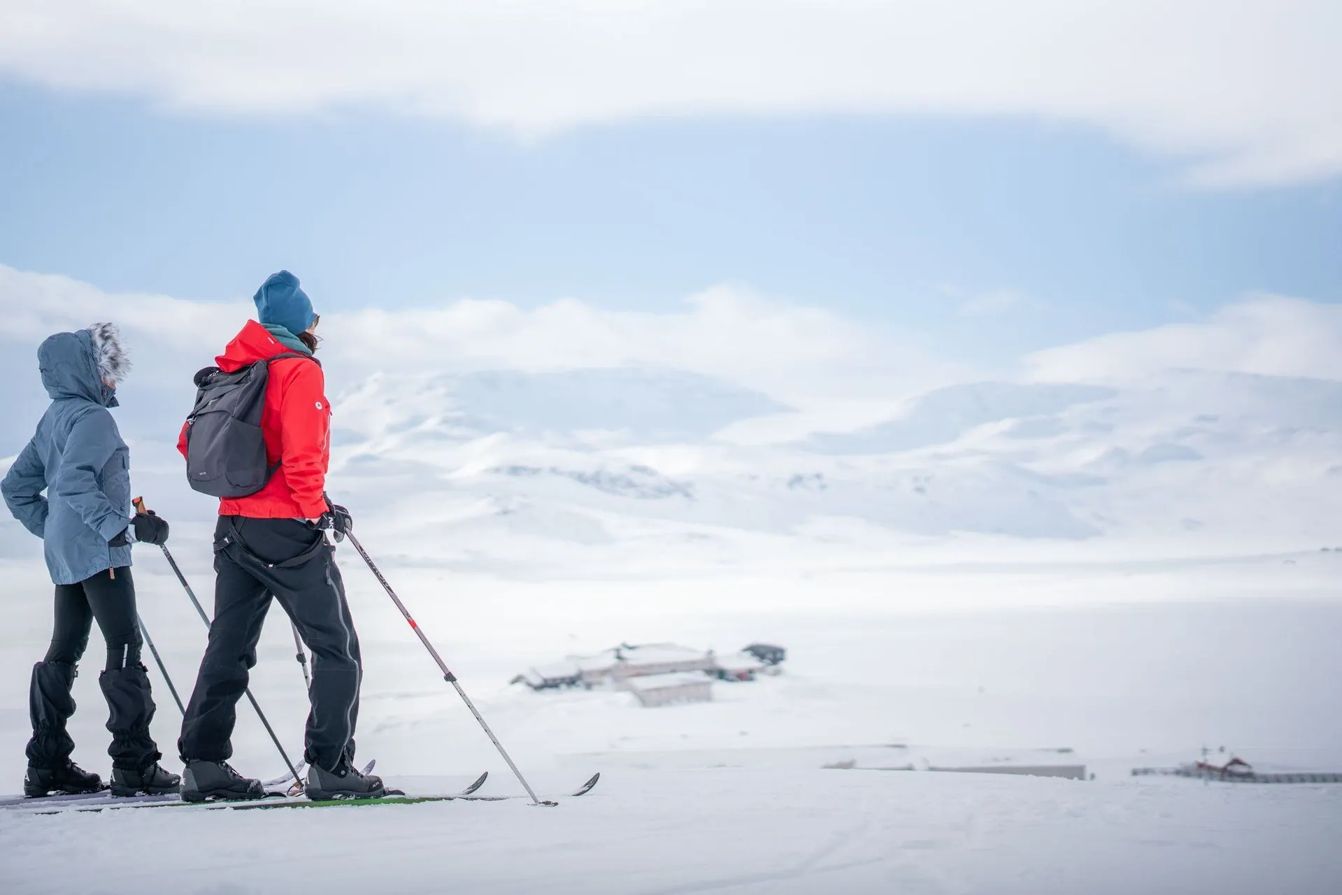 Ville historique de Wittenberg - Vallée de l'Elbe - Allemagne