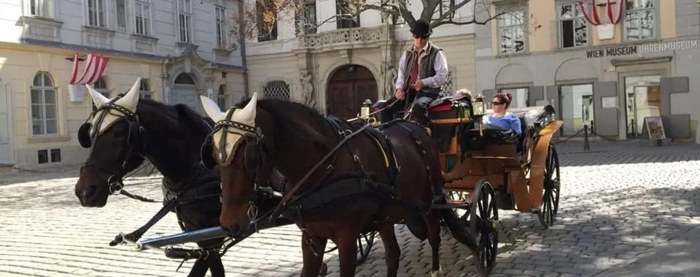 Hofburg Caleche C Oriane Tempe - Allemagne