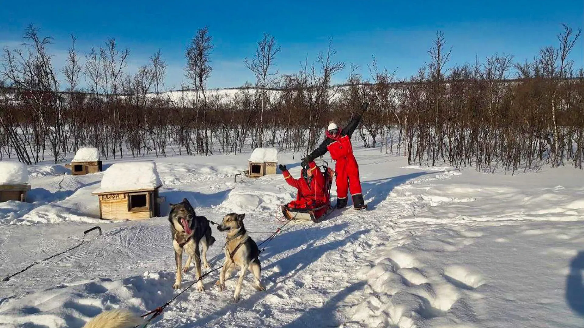 Initiation Presentation Chien De Traineau C David Godin - Norvège © David Godin