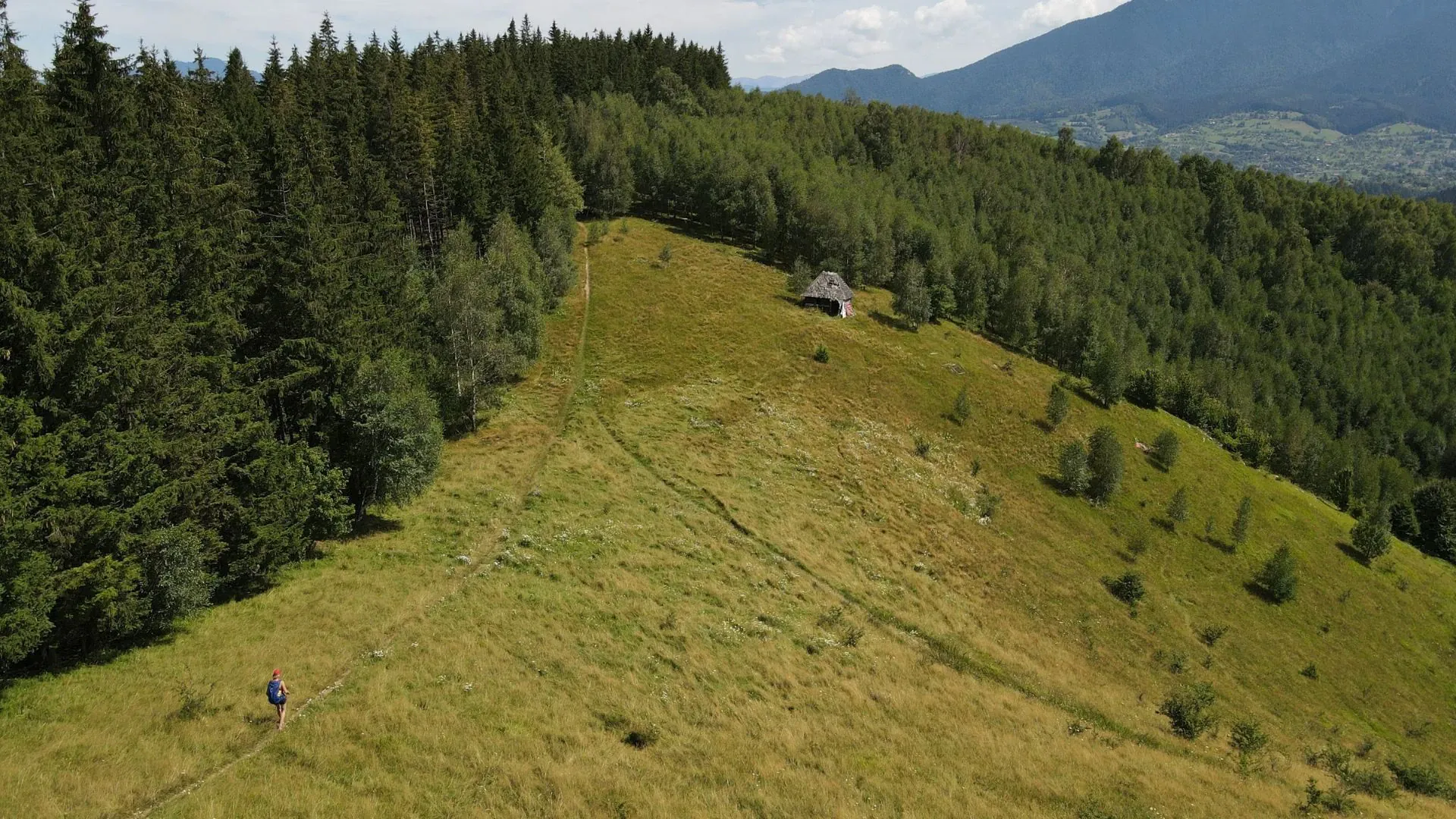 Cour interieure du chateau de Bran - Carpates - Roumanie
