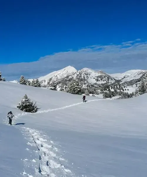 J2 Haut Plateaudu Jpg - Vercors