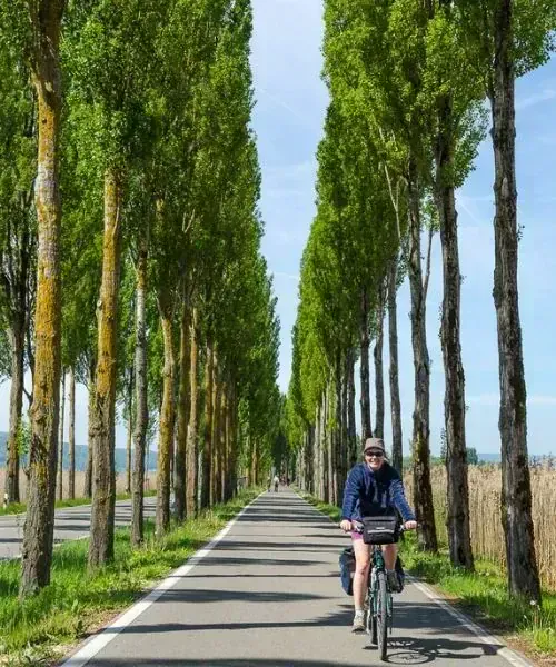 J5 Cycliste Le Long Du Lac © Cyril Torterotot Jpg