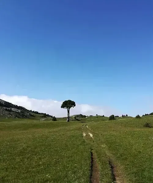 J5 Plaine De Queyrie © Adrien Ozanon Jpg