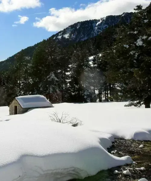 J6 Vallon Combeau Jpg