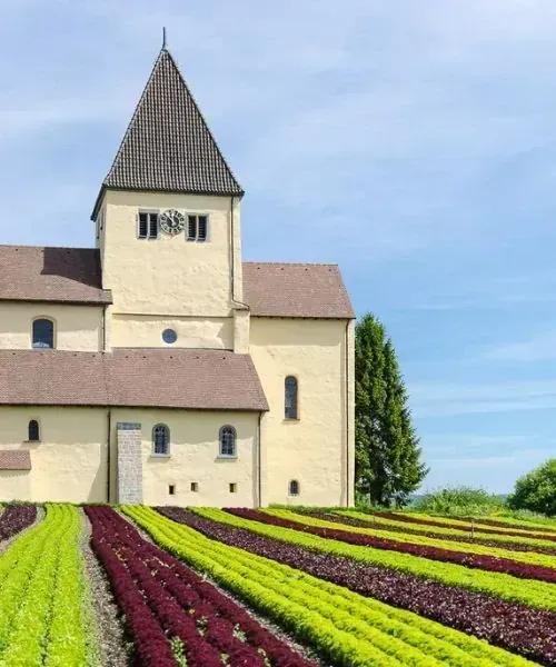 J7 Reichenau © Cyril Torterotot Jpg