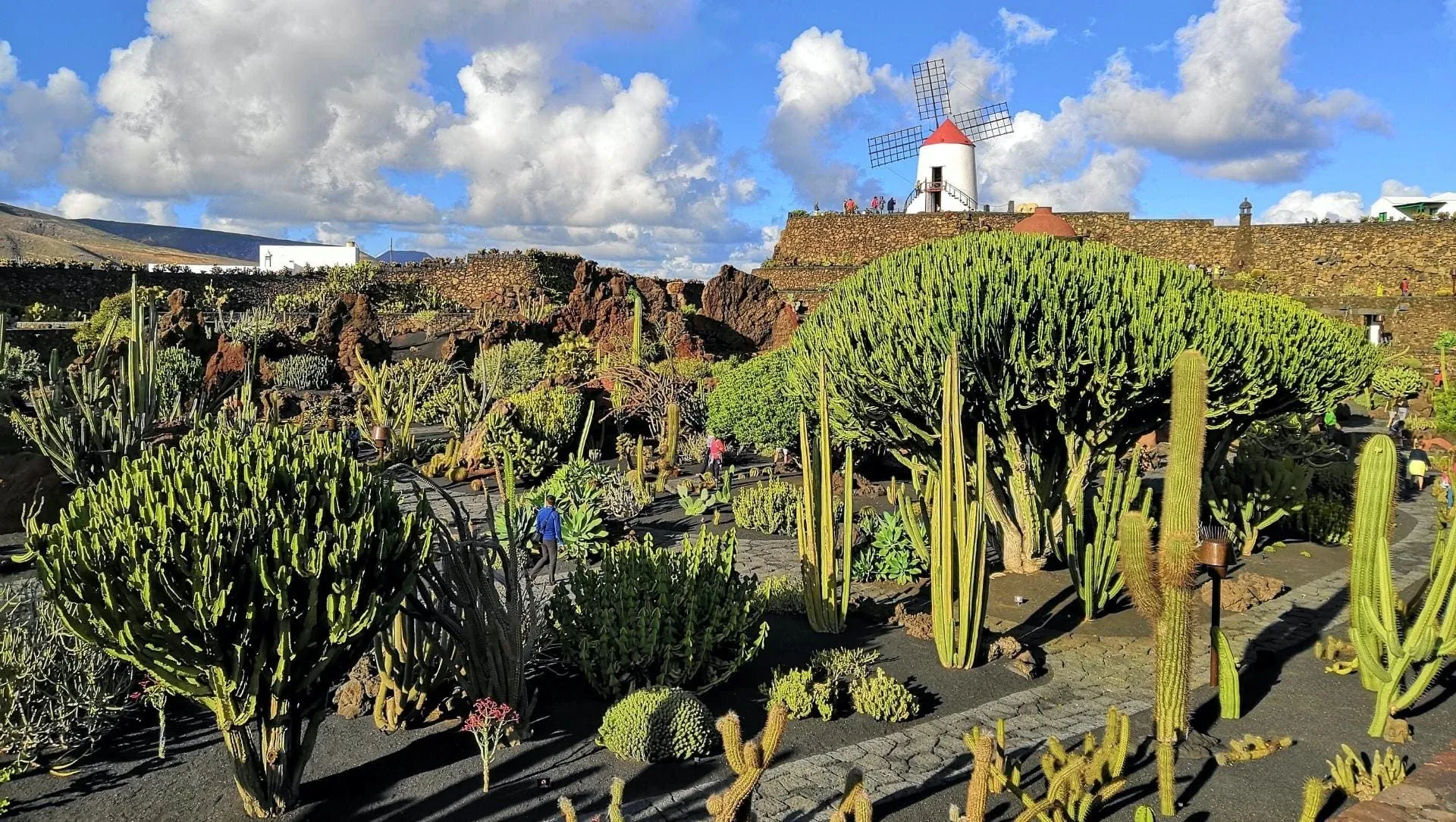 Jardin Des Cactus Et Moulin A Teguise A Lanzarote C Antonio Sessa Unsplash - Espagne © Antonio Sessa Unsplash