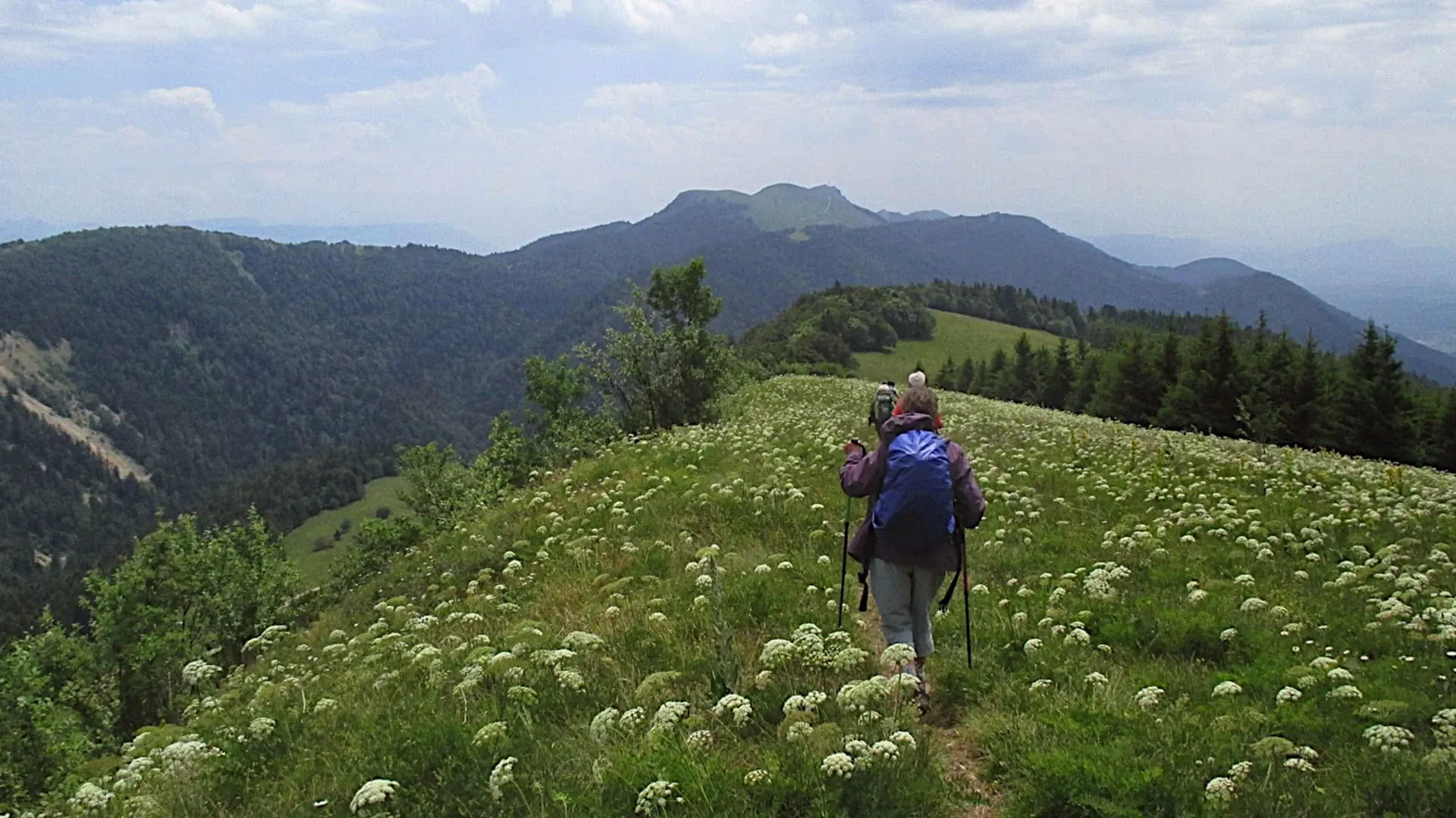 Jeanfrancoiscornachoncbugey Jf Cornachon - France - jeanfrancoiscornachoncbugey-jf-cornachon-france-2
