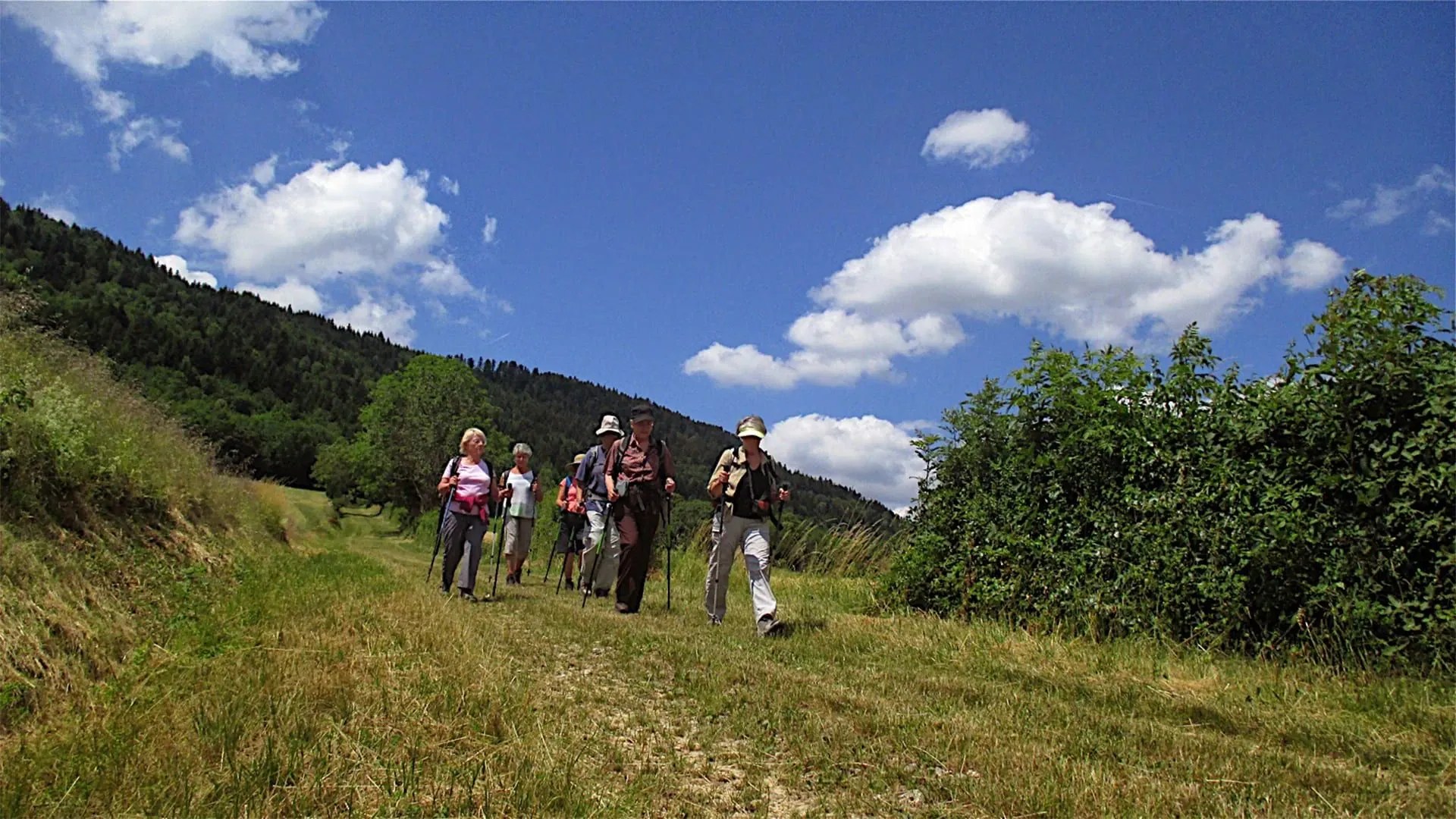 Jeanfrancoiscornachoncbugey Jf Cornachon - France - jeanfrancoiscornachoncbugey-jf-cornachon-france-4