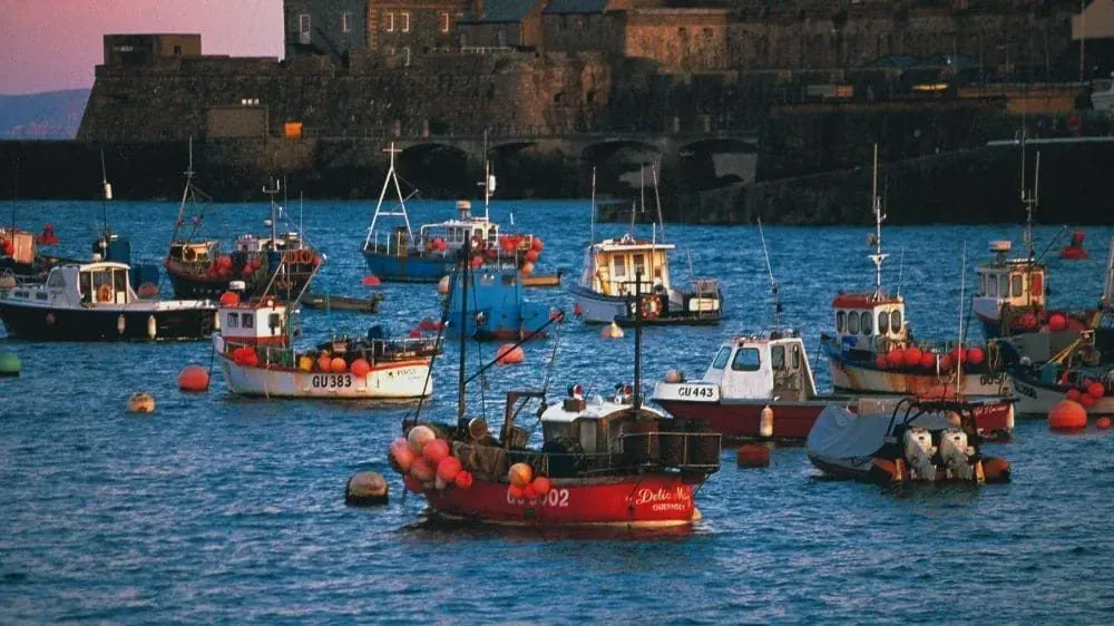 Jersey Guernesey - jersey-guernesey-2