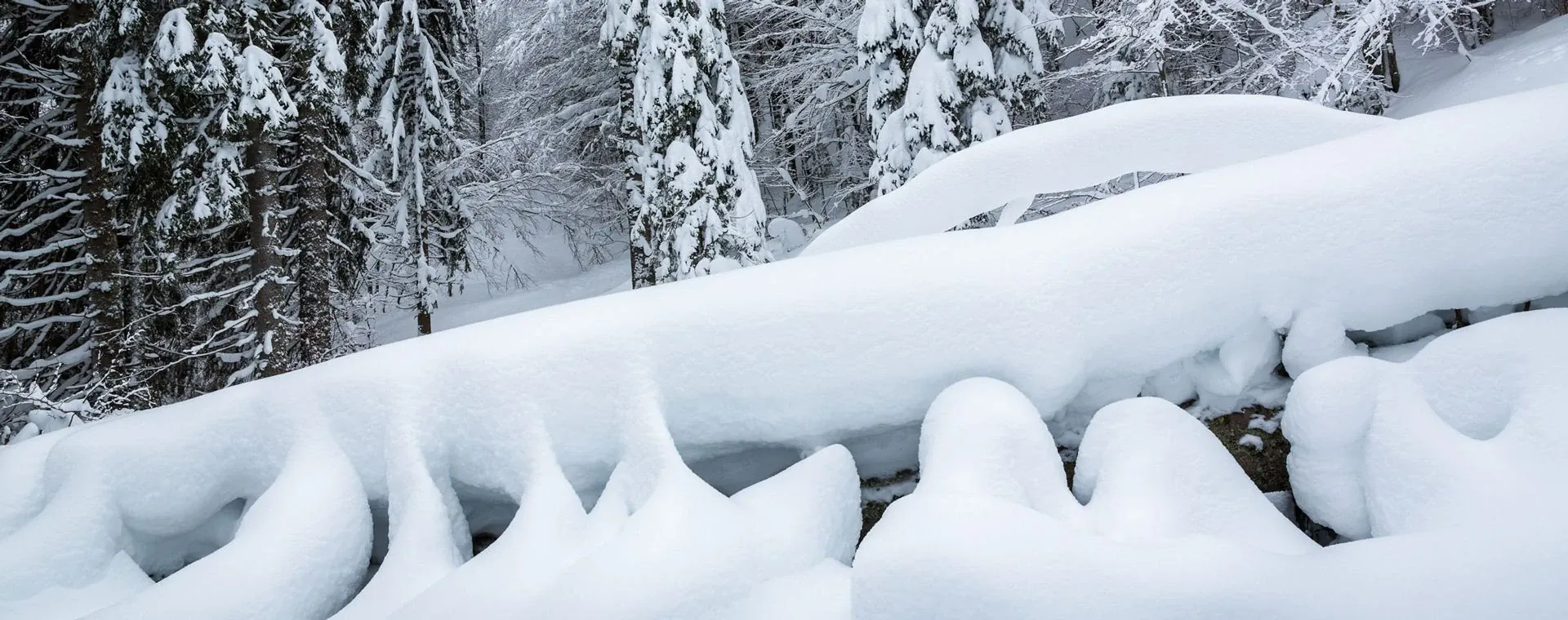 Jura Hiver - France - jura-hiver-france-10