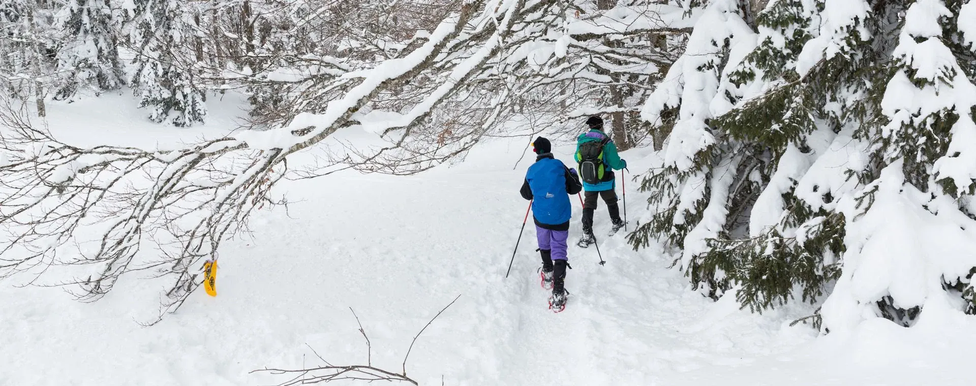 Jura Hiver - France - jura-hiver-france-6