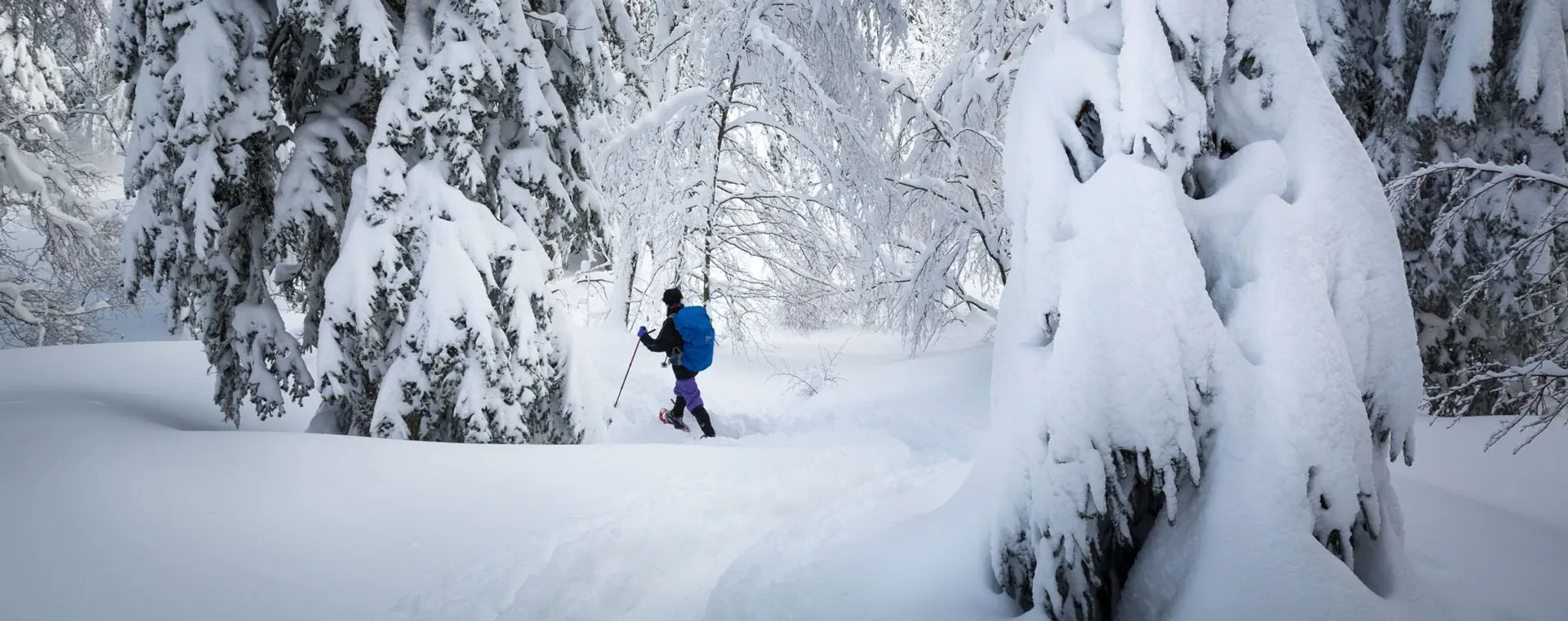Jura Hiver - France - jura-hiver-france-8