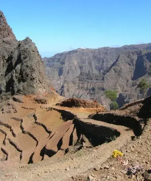 Jusqu'à Mira Mira ©Fabrice Weber