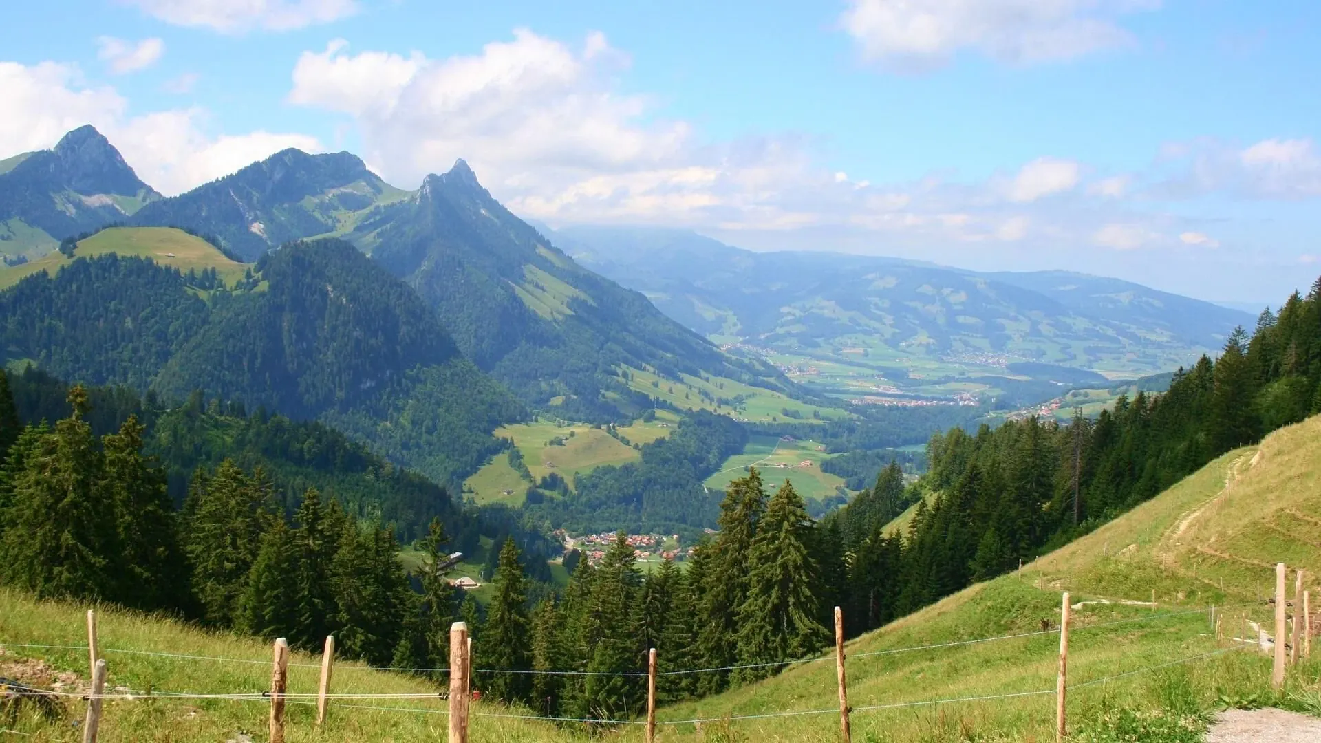 Parc floral de Keukenhof - Pays-Bas