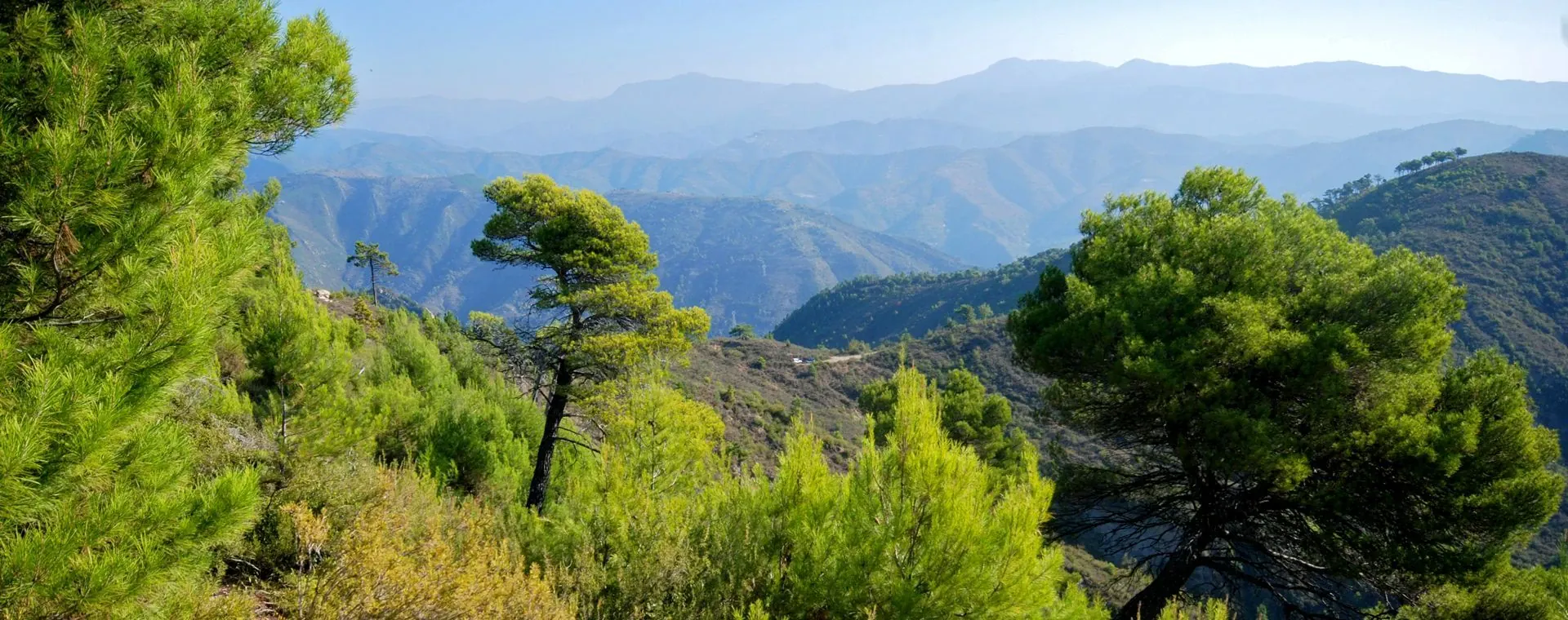 Paysage de Kiilopää - Laponie - Finlande