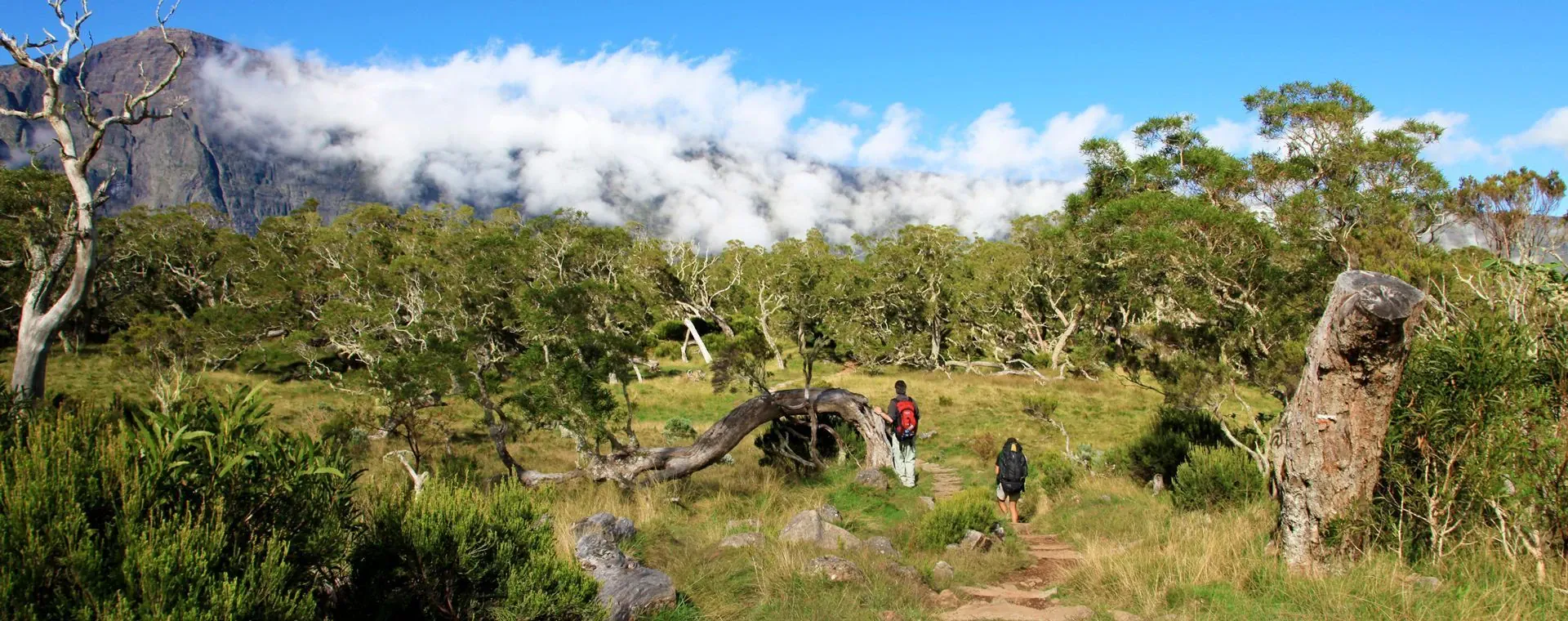 Plage de Kipiadi à Paxos - Îles Ioniennes - Grèce