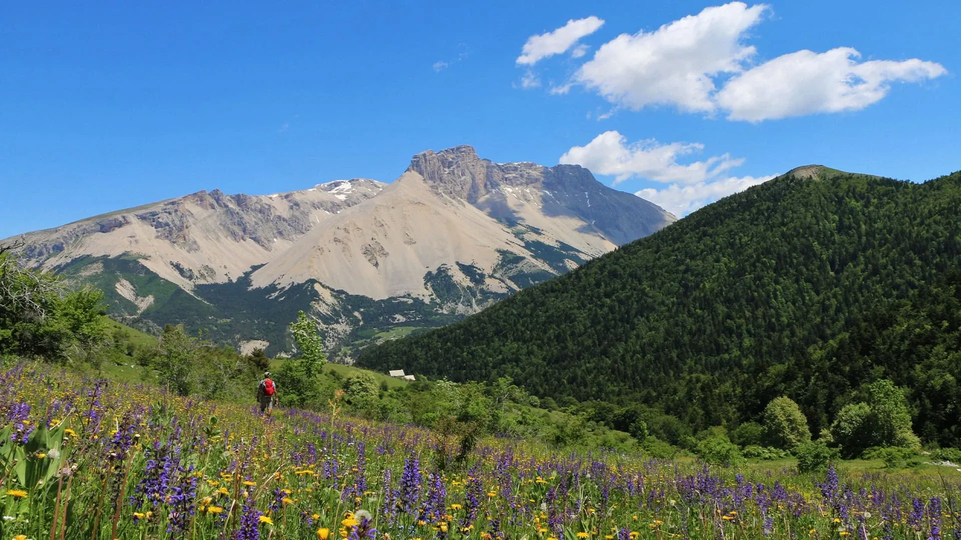 La Cluse Col Plate Contier C Damien Desbenoit - France