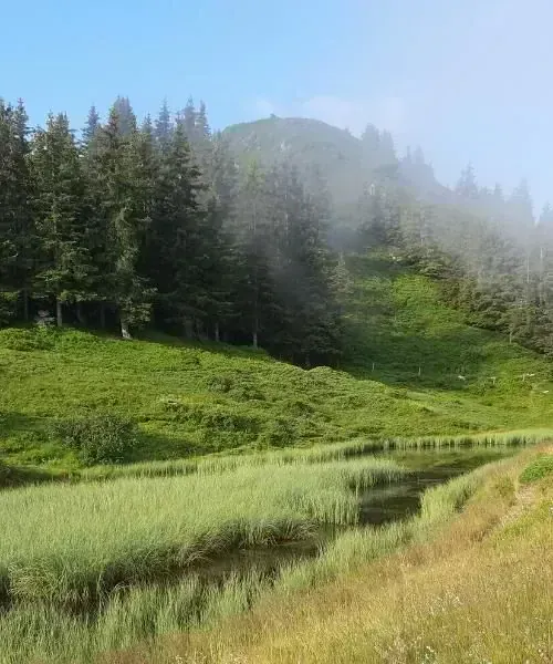 La Crete Du Grand Rocher Raymond Chabanier - Crète