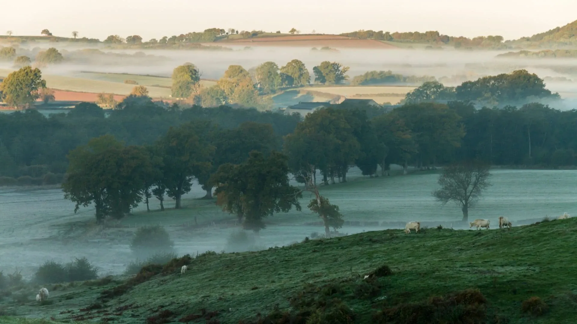 Paysage de La Gomera - Îles Canaries - Espagne © Tourisme Canaries