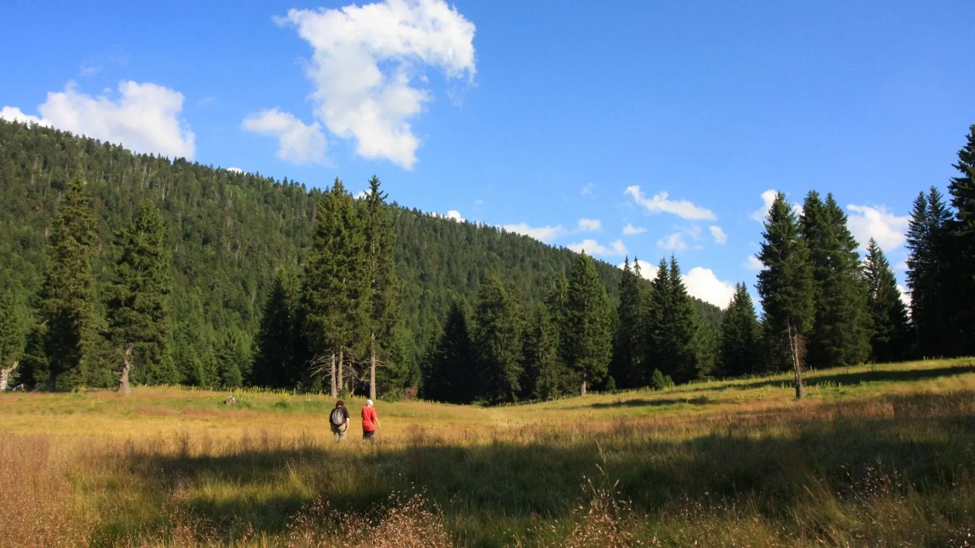 Plaine de la Molière - Vercors - France