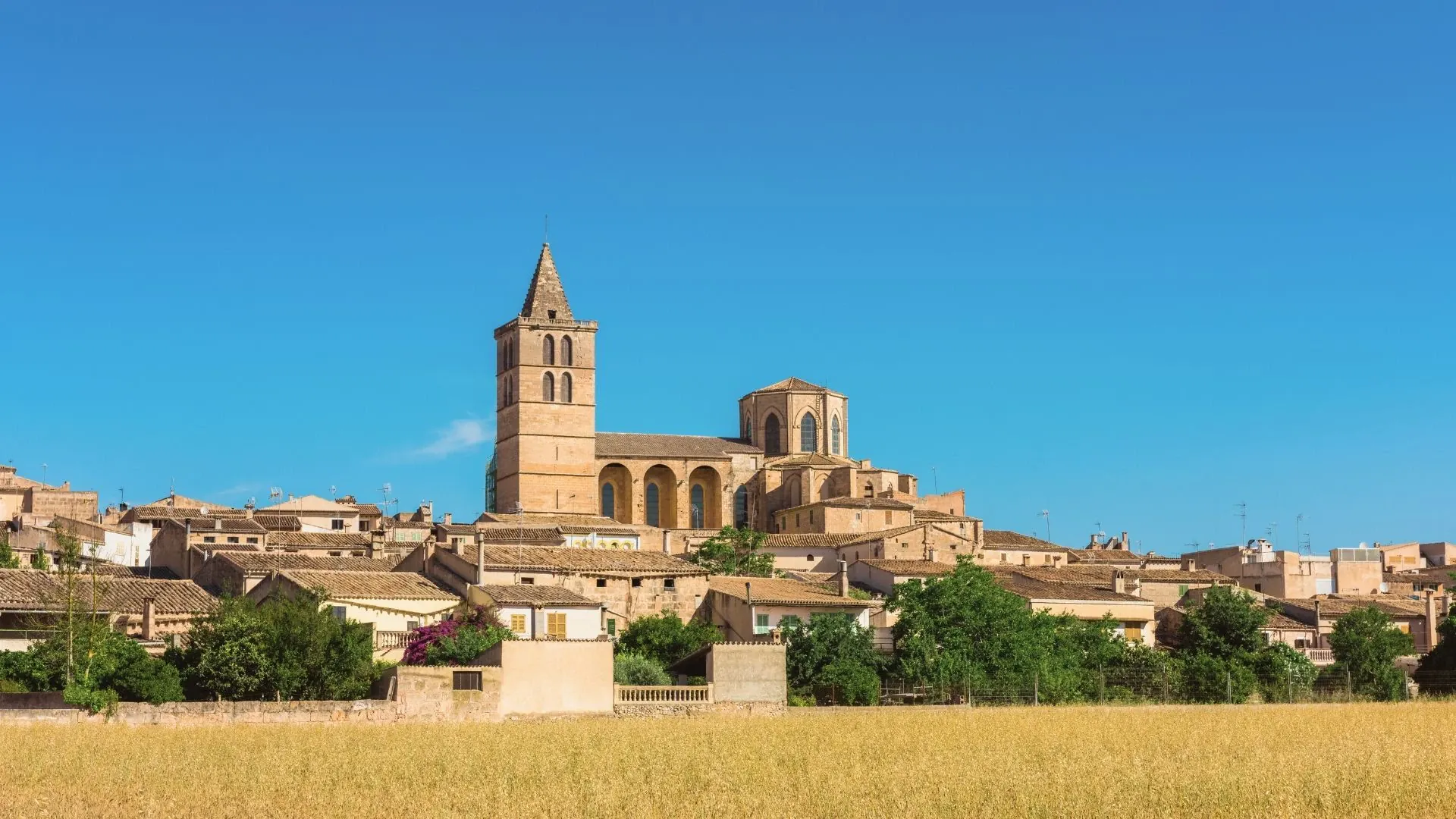 Cathédrale La Seu illuminée de Palma - Majorque - Espagne