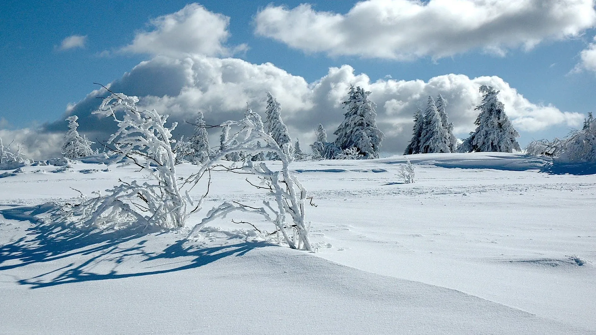 Lac Blanc Gazon Du Faing C Sud Randos.jpeg - France