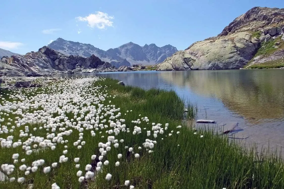 Lac Blanchet Cmarc Laurans Min - France