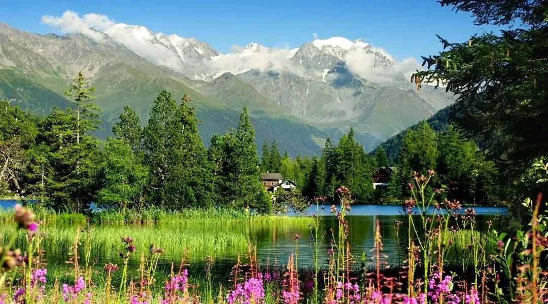 Tour du Mont-Blanc, étape 7 : De Champex au Col de la Forclaz par les alpages de Bovine | Grand Angle
