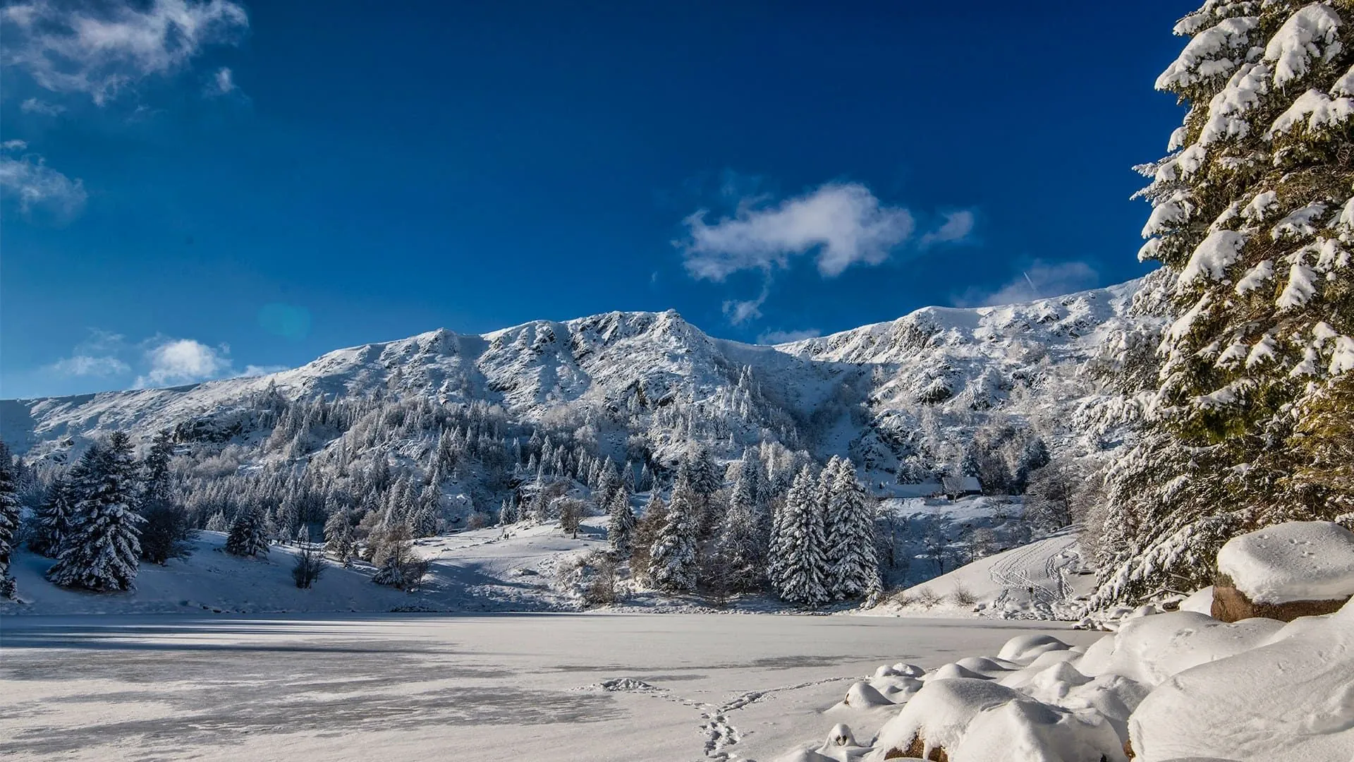 Lac De La Truite C Christophe Lagocki Adobe Stock.jpeg - France