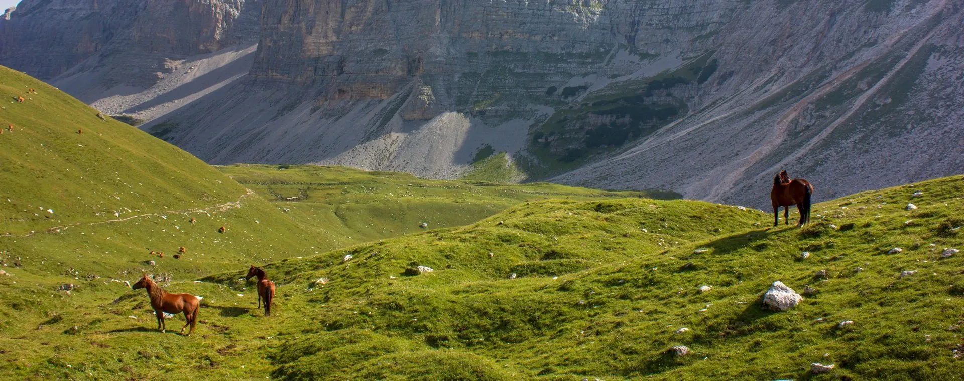 Lac Garde Dolomites Brenta - Dolomites - Italie - lake-garde-dolomites-brenta-dolomites-italy-7