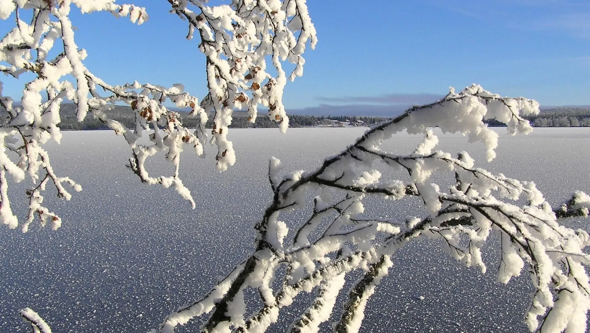 Lac Gele En - Finlande