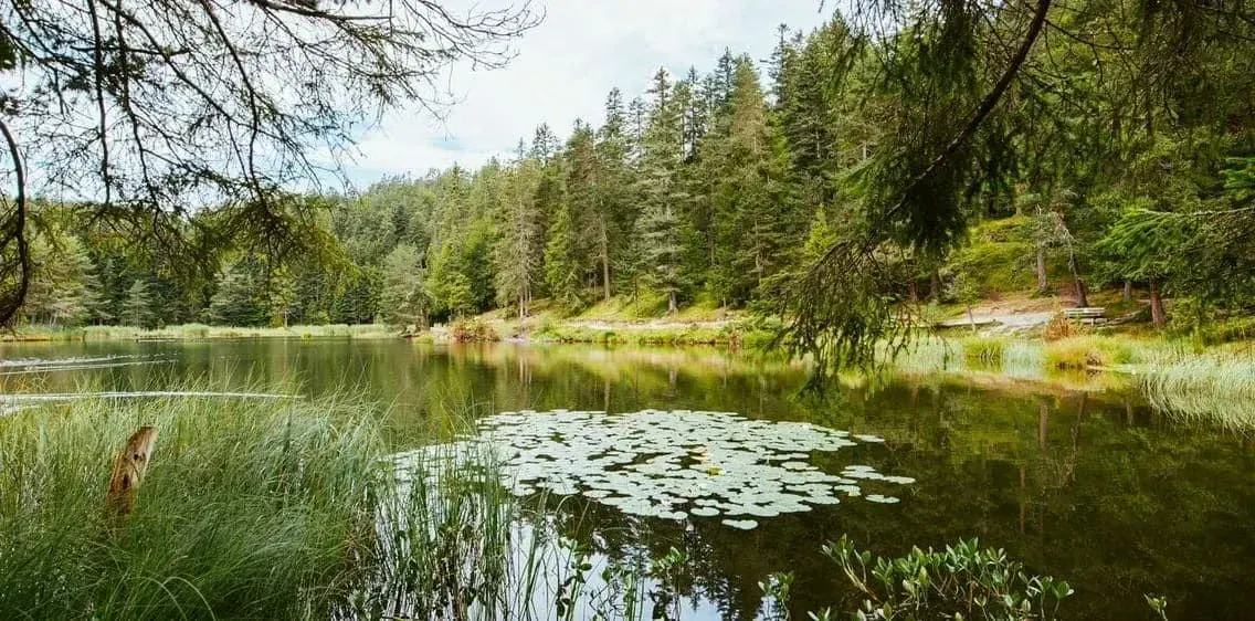 Lac Moeserer See Pres Seefeld Tyrol 0 - Allemagne