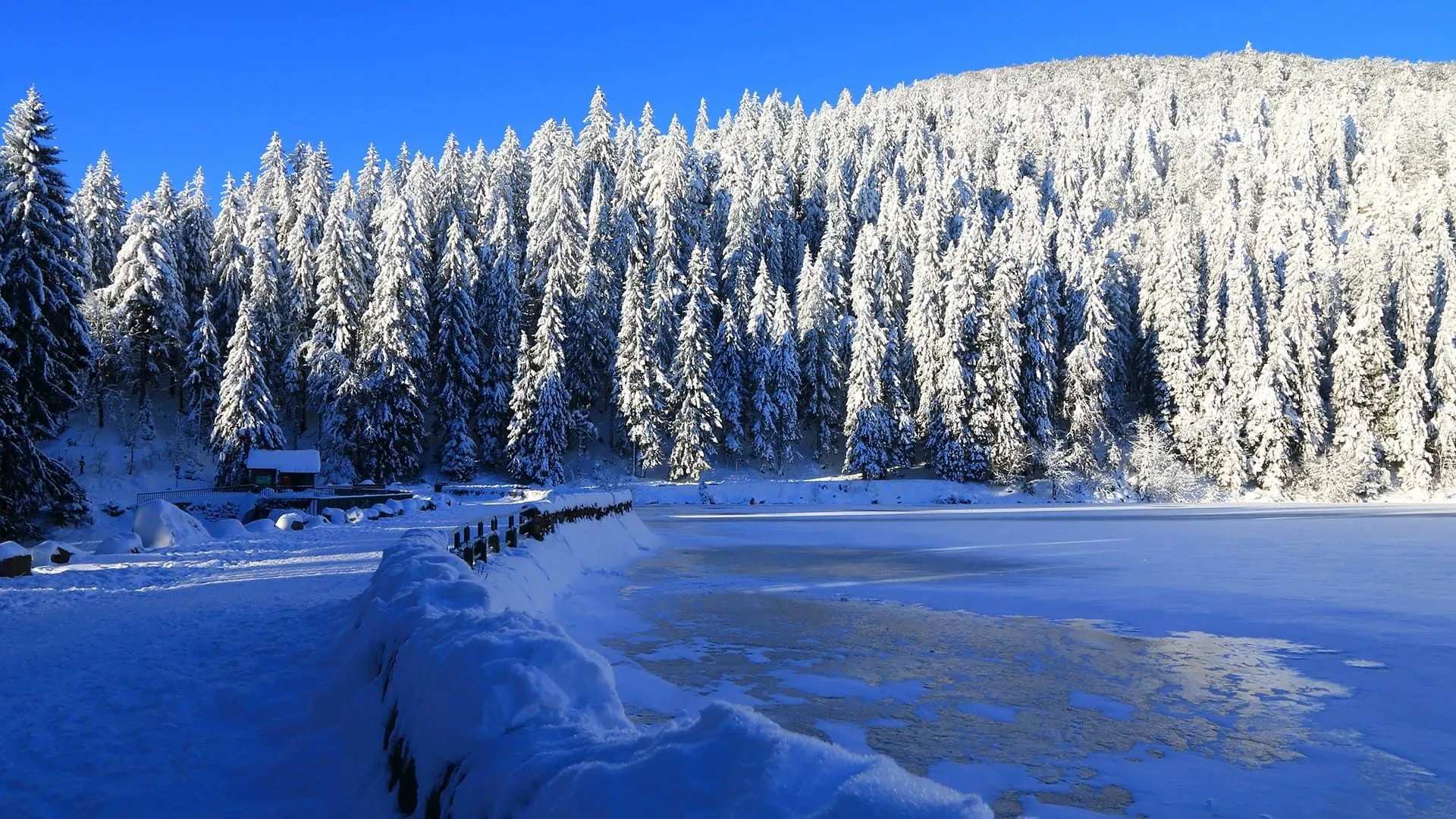 Lac Vert C Iso 68 Adobe Stock.jpeg - France