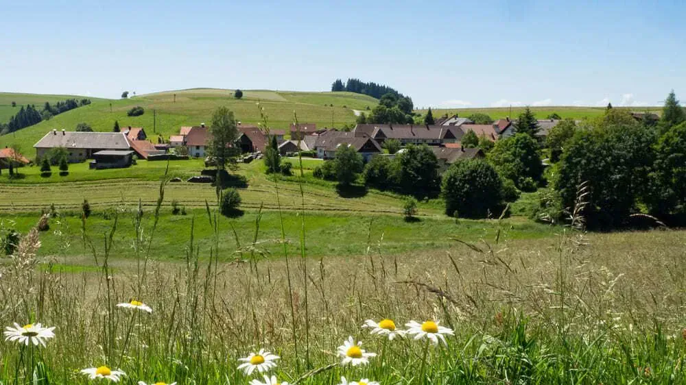 Paysage entre Mosonmagyaróvár et Győr - Danube - Hongrie