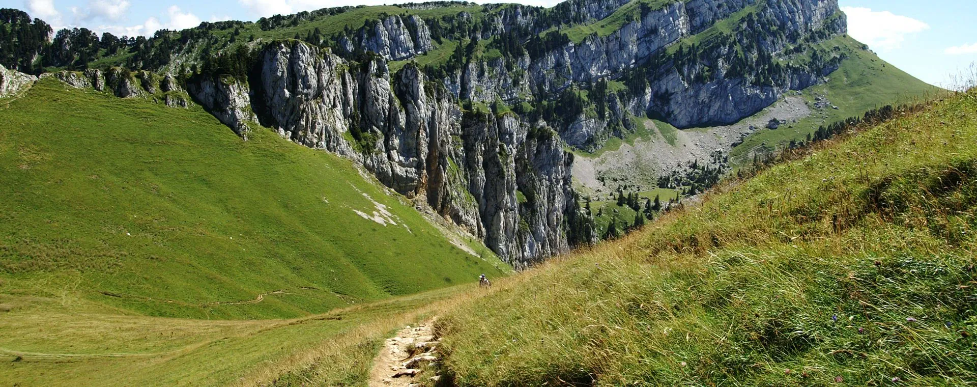 Paysage Chartreuse - Chartreuse - France