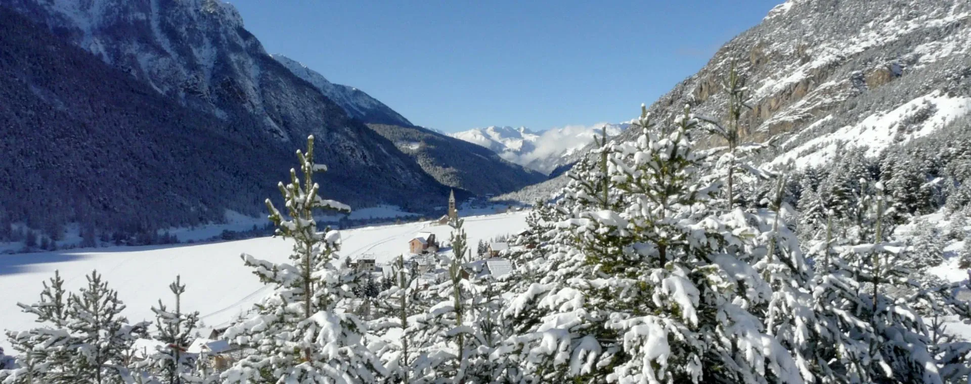 Paysage près de Meyrueis - Gorges du Tarn - France