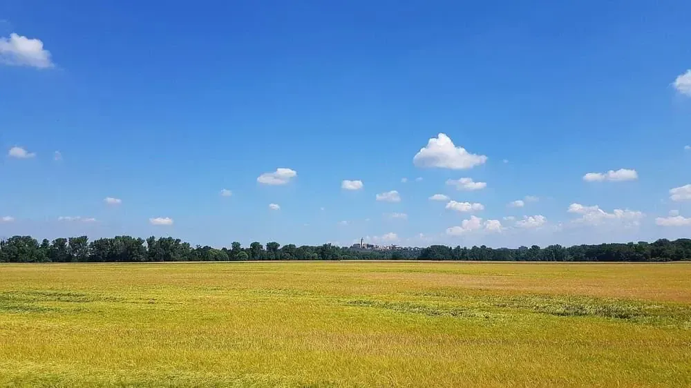 Paysage des Hautes Vosges - Alsace - France