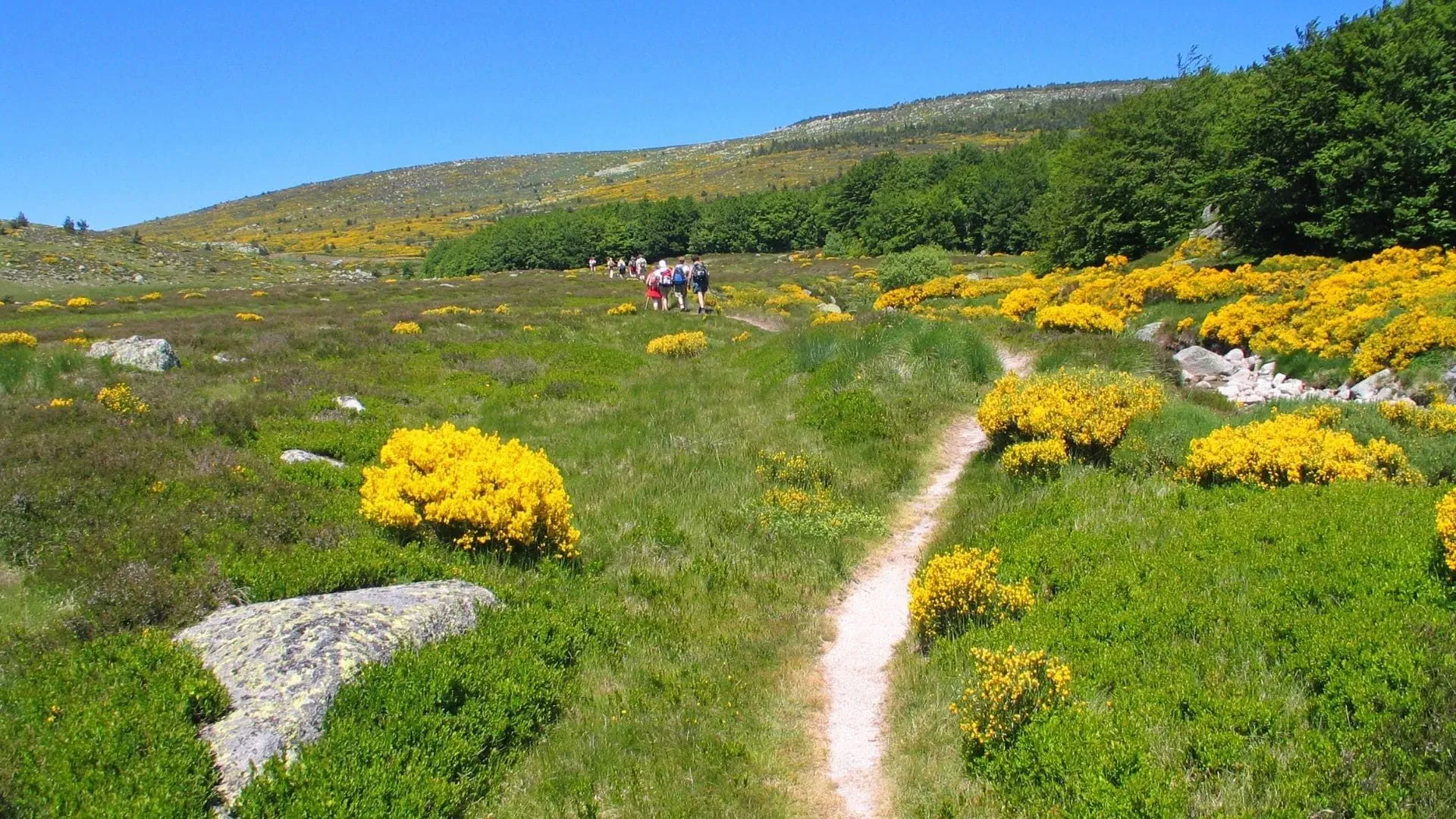 Le Long Du Tarn - France - le-long-du-tarn-france-2