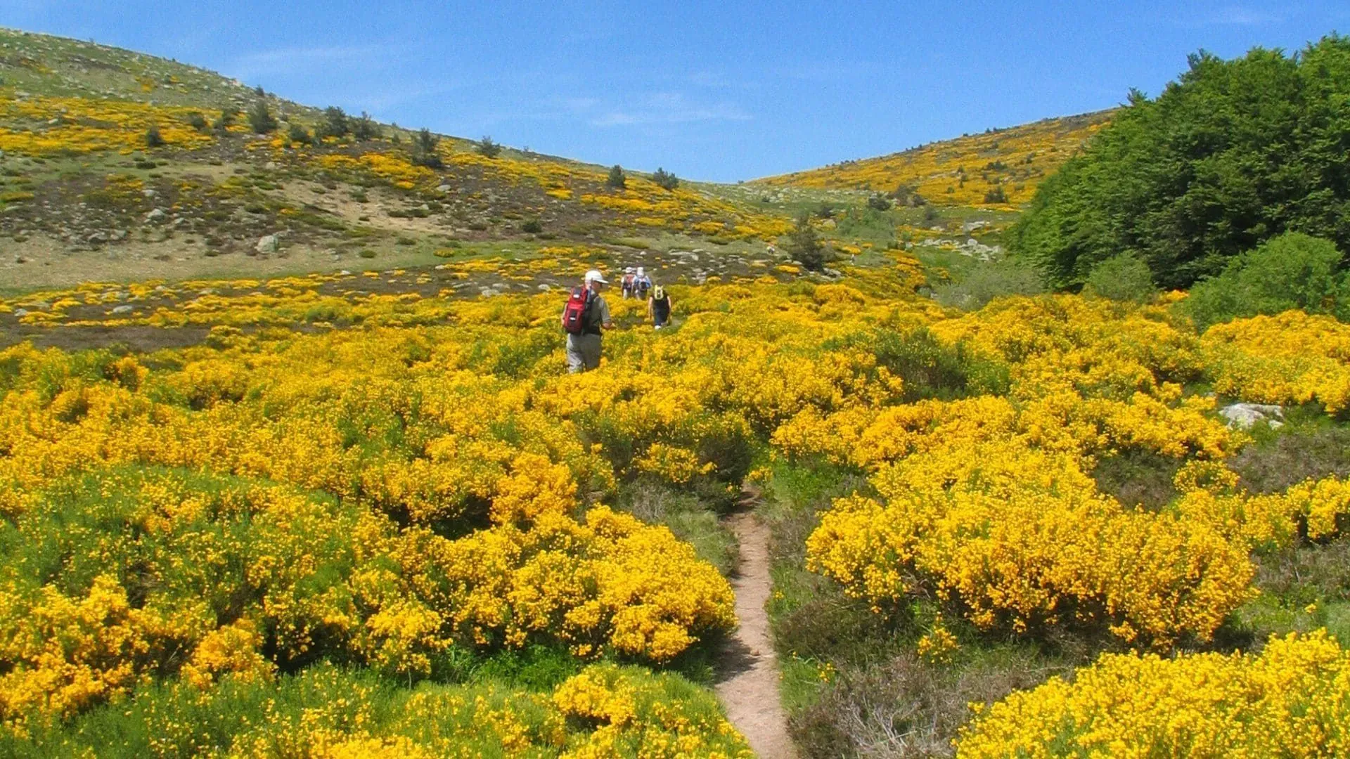 Le Long Du Tarn - France - le-long-du-tarn-france-3