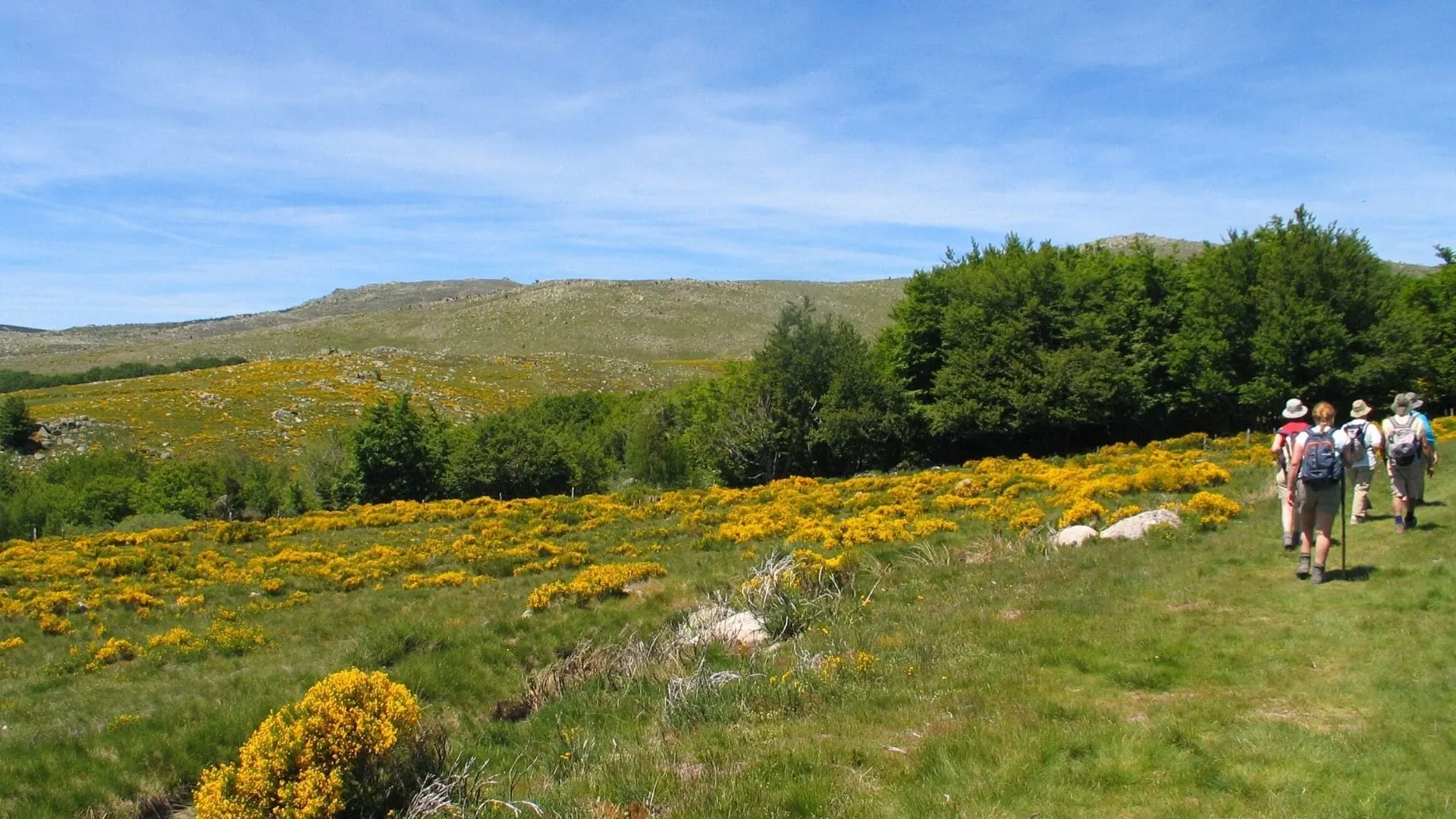 Le Long Du Tarn - France