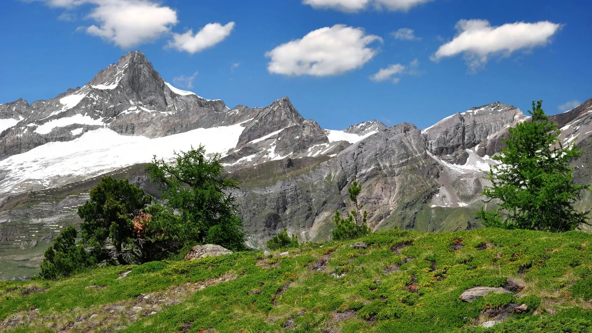 Le Zinalrothorn Dans Les Alpes Suisse - Alpes
