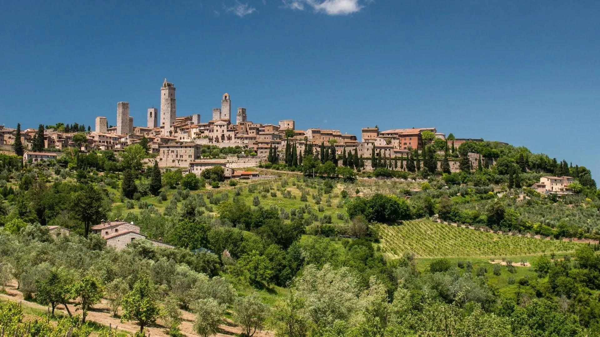 Tour penchee de Pise et cathedrale - Toscane - Italie