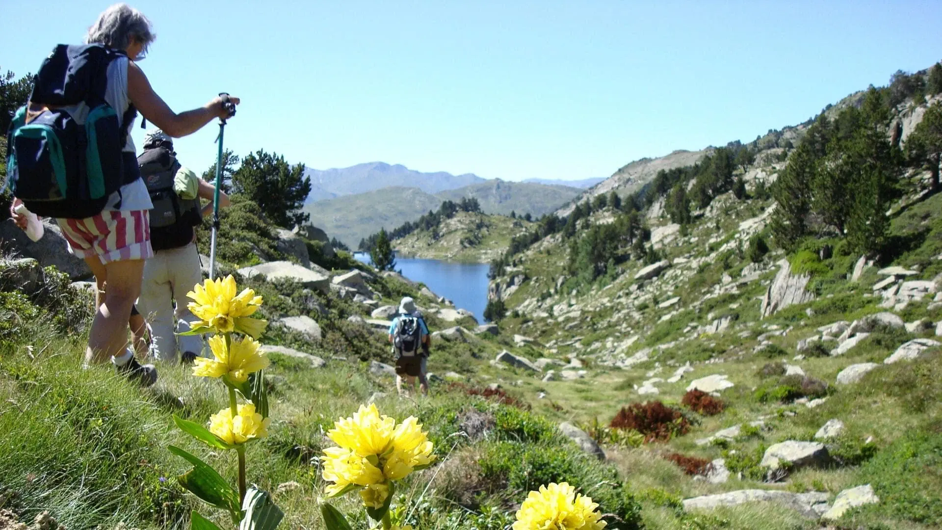 Les Paysages Bucoliques Des Encantats - Espagne