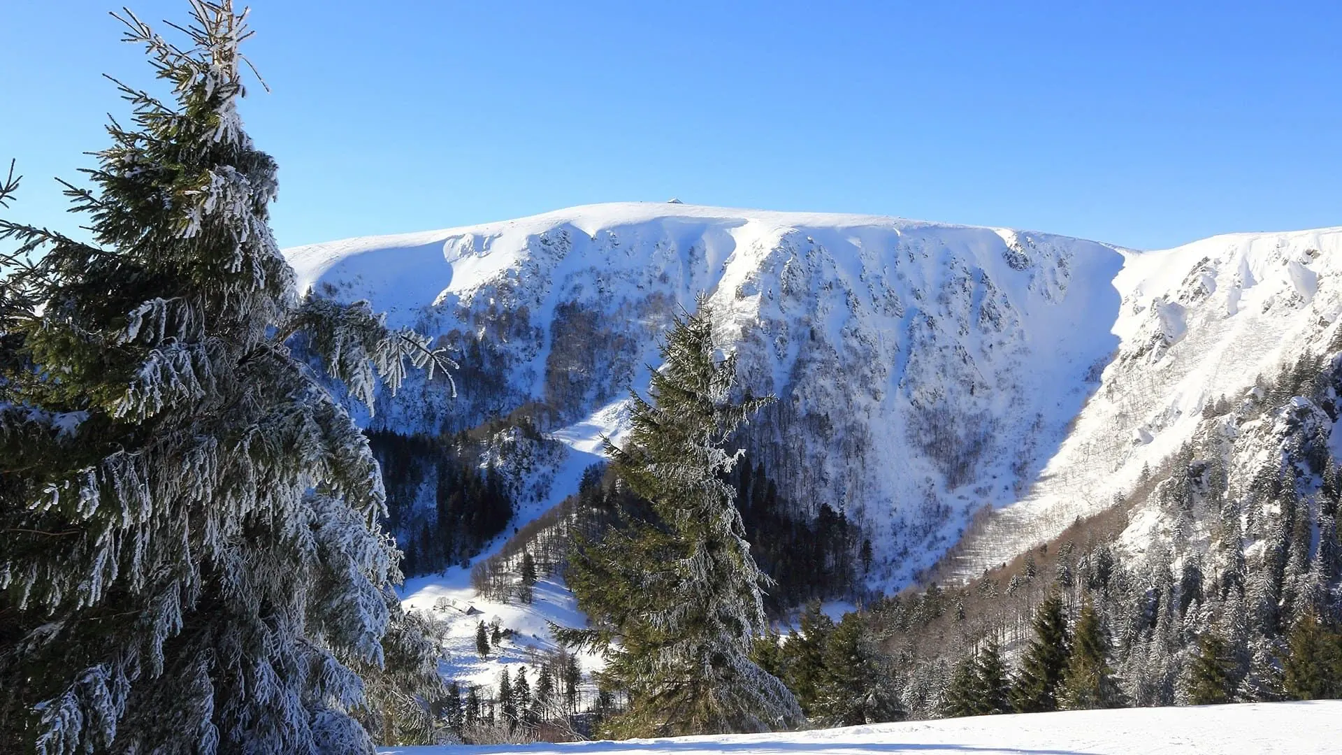 Les Vosges C Iso 68 Adobe Stock.jpeg - France