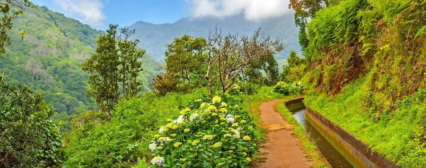 Levada Madere Min - Madère - Portugal