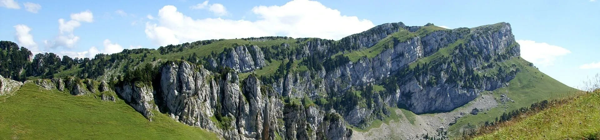 Falaises calcaires et prairies verdoyantes - Massif de la Chartreuse - Alpes francaises