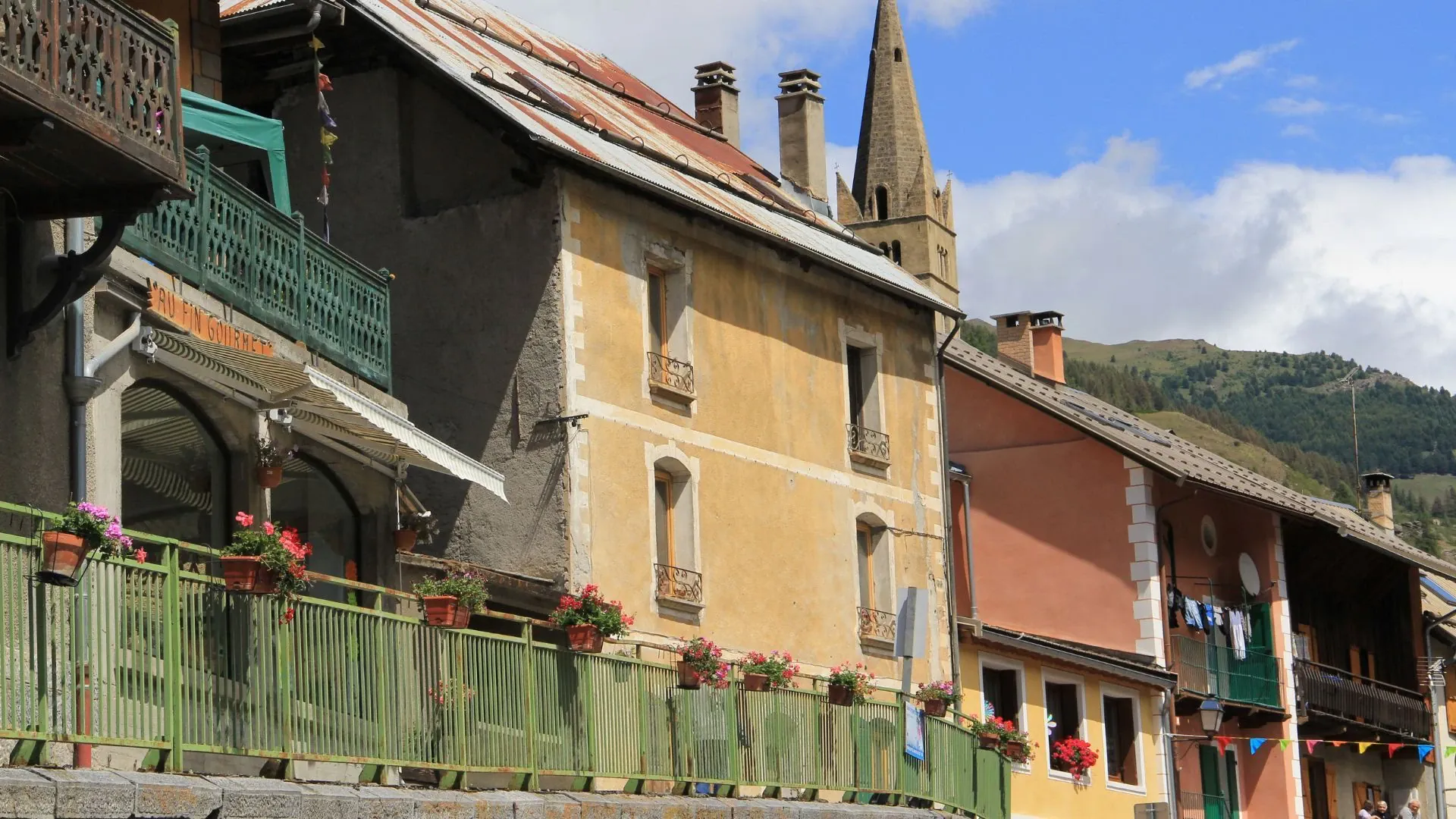Aigrette garzette sur la côte atlantique - France