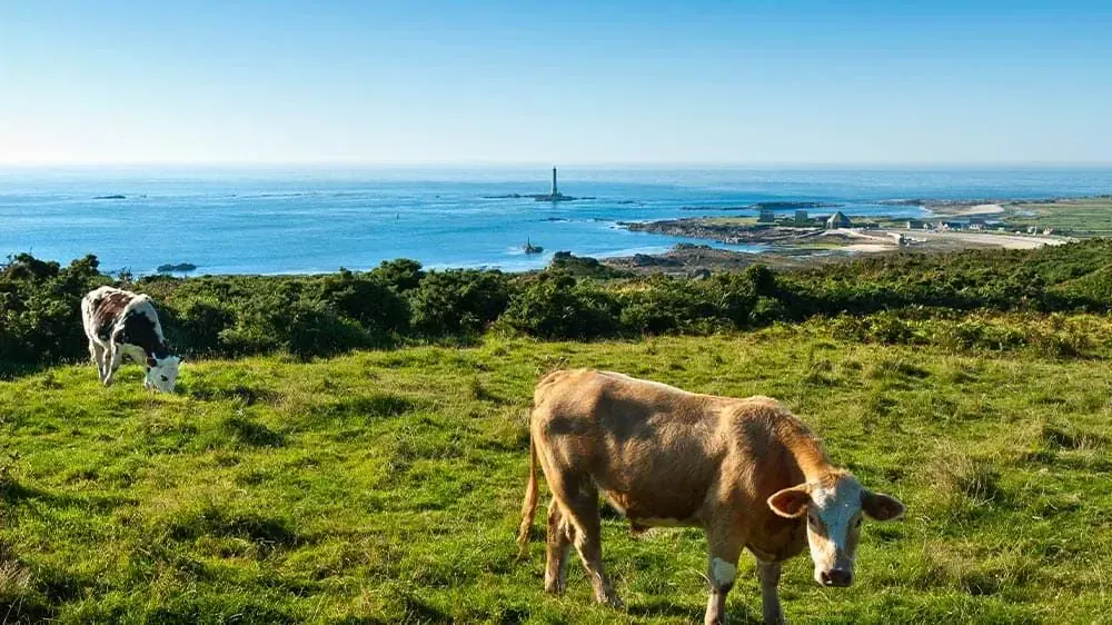 Littoral Auderville 6269rm Lerouge Cdt50 - France